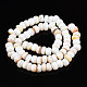 Chapelets de perles de coquille de trochid / trochus coquille SHEL-S258-081-A01-2