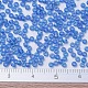 Perles rocailles miyuki rondes X-SEED-G007-RR0149FR-4