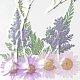 Gepresste Trockenblumen DIY-H153-A03-3