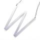 304 Stainless Steel Pendant Necklaces STAS-D162-12W-1
