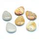 Drop Natural Fossil Coral Pendants G-R347-11-1