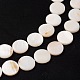Shell normal de perles blanches de brins PBB251Y-2-3