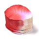 Бумажные лепестки роз DIY-P023-A02-2