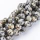 Natural Dalmatian Jasper Beads Strands GSR12mmC004-1