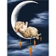 Diy прямоугольный кролик тема алмазная живопись наборы DIAM-PW0004-020-1