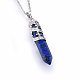 Naturales lapis lazuli de los collares pendientes NJEW-P228-C10-3