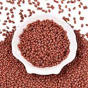 Выпечка краска стеклянные бусины SEED-T006-03T