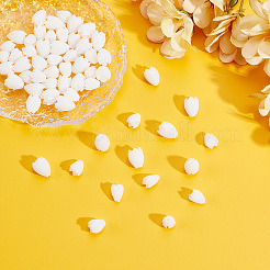 60 pièce de 2 styles de perles en résine opaques&nbsp;RESI-WR0001-21