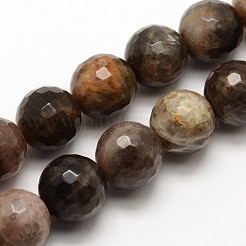 Natürliche schwarze sunstone runde Perle Stränge&nbsp;G-O039-20-8mm