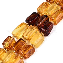 Perles d'ambre naturel brins&nbsp;G-N371-14A-01