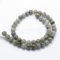 Chapelets de perles en labradorite naturelle &nbsp;G-I199-15-6mm