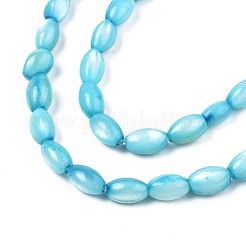 Shell perle d'acqua dolce fili&nbsp;SHEL-T009-B15