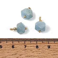 Natürliche Aquamarin Anhänger&nbsp;GG-CBACE45-01G-03