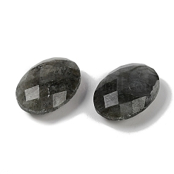 Natur Labradorit Cabochons&nbsp;G-O175-15O-01