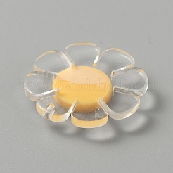Transparente Harzanhänger&nbsp;RESI-WH0029-46B-09
