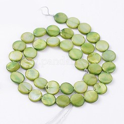 Chapelets de perles de coquillage naturel&nbsp;SHS141M