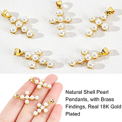 Shell Perlenanhänger&nbsp;ZIRC-NB0001-49G