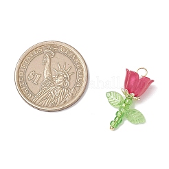 Perle acriliche e perle di imitazione in plastica e pendenti di perline di semi giapponesi&nbsp;PALLOY-JF03826-02