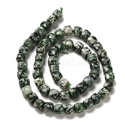 Natürliche grüne Fleck Jaspis Perlen Stränge&nbsp;G-H078-C27-01