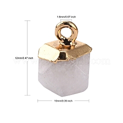 Natürliche weiße Jade Charms&nbsp;G-S359-015I