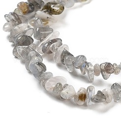 Natur Labradorit Perlen Stränge&nbsp;G-G0003-B43