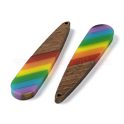 Colgantes de resina y madera de nogal con tema de arcoíris del orgullo&nbsp;WOOD-K012-05B