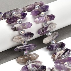 Natürliche Amethyst-Doppelendperlenstränge&nbsp;G-H069-B16-01