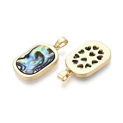 Natur Paua Muschel Anhänger&nbsp;KK-T073-64A
