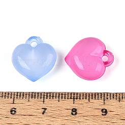 Pendentifs en acrylique transparent &nbsp;TACR-T028-80M