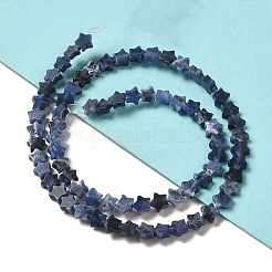 Natur Sodalith Perlen Stränge&nbsp;G-G085-B18-02