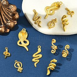 12pcs 6 Arten Legierungsanhänger&nbsp;FIND-FS0003-54