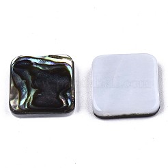 Natürliche Abalone Muschel / Paua Muschel Cabochons&nbsp;SSHEL-N034-75B-01