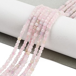 Naturperlen Stränge morganite&nbsp;G-H042-B05-01
