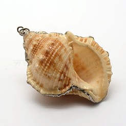 Mischformen natürliche Spiralschalenanhänger&nbsp;SSHEL-E556-01