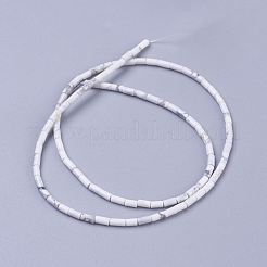 Fili di perline howlite naturale&nbsp;G-G783-06