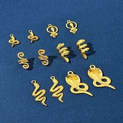 12pcs 6 Arten Legierungsanhänger&nbsp;FIND-FS0003-54