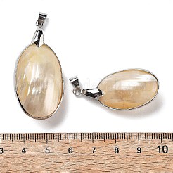 Große Anhänger aus Naturmuschel galvanisieren&nbsp;KK-F882-05P