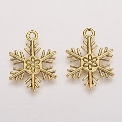 Pendentifs en alliage de style tibétain&nbsp;TIBEP-3264-AG-RS