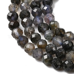 Naturperlen Stränge iolite&nbsp;G-G343-B01-3mm