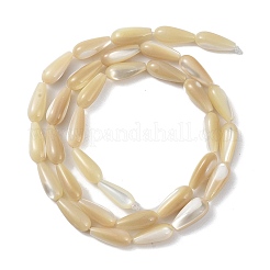 Perle di conchiglia di troco naturale&nbsp;PEAR-B002-01A-B