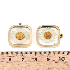 Pendenti in resina epossidica in acciaio inossidabile 304&nbsp;STAS-T072-35