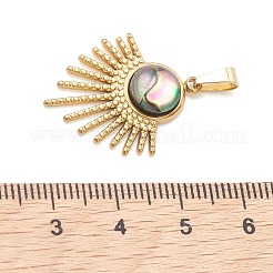 Pendentifs en paua naturel&nbsp;PALLOY-JF05227-01