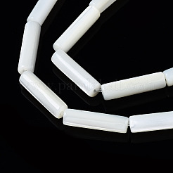 Natürliche Trochidschale / Trochusschalenperlenstränge&nbsp;SSHEL-S266-020A-03