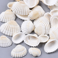 Shell perle naturali&nbsp;SSHEL-PH0001-07