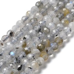 Perline labradorite naturale fili&nbsp;X-G-I341-11