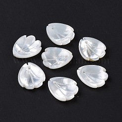 Natürliche weiße Schalencharme&nbsp;SSHEL-C011-07B