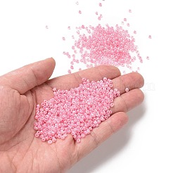 13g 8/0 Glas Saatperlen&nbsp;SEED-XCP0001-06