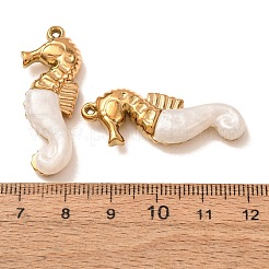 Pendentifs en acier inoxydable 304 et résine&nbsp;RE-CBA1E3F-03B-G