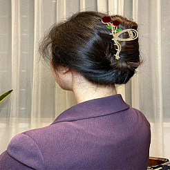 1 x Haarspange mit Strassen aus Legierung.&nbsp;PHAR-LP0001-37