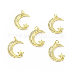 Pendentifs avec zircon cubiques à micro-pavés en laiton&nbsp;KK-E068-VB109